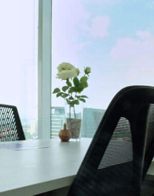 Premium Virtual Offices