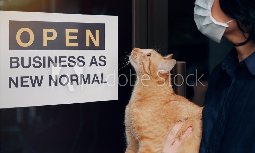 business as new normal