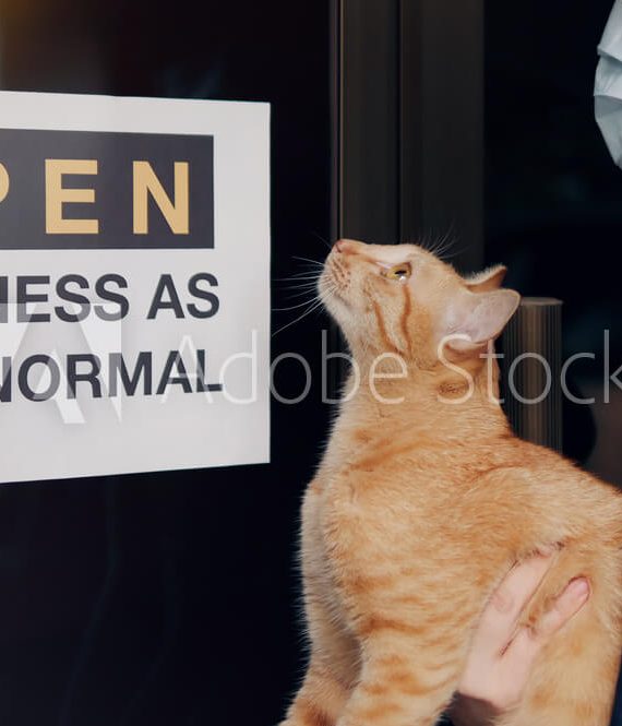 business as new normal