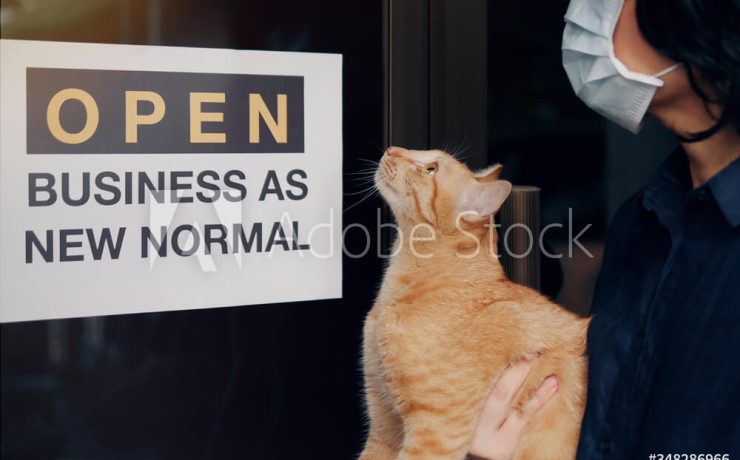 business as new normal